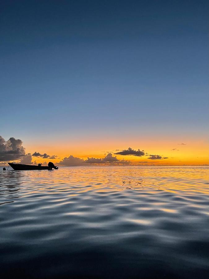 Sunset Appart, T2 Avec Vue Mer Et Plage A 1 Km ル・カルベ エクステリア 写真